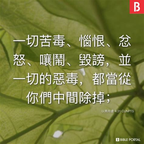 隔斷的牆|以弗所書生命讀經